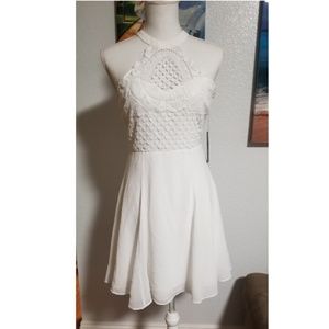 White Lulu's Crocheted Skater Dress